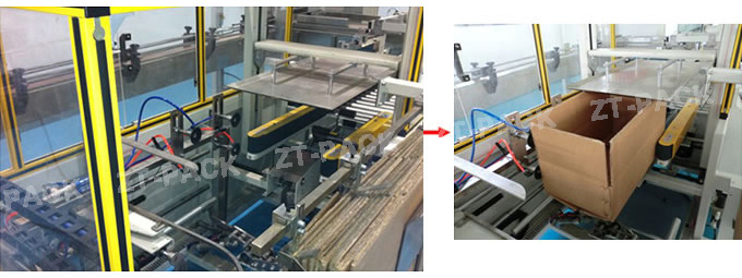 Carton Packaging Line